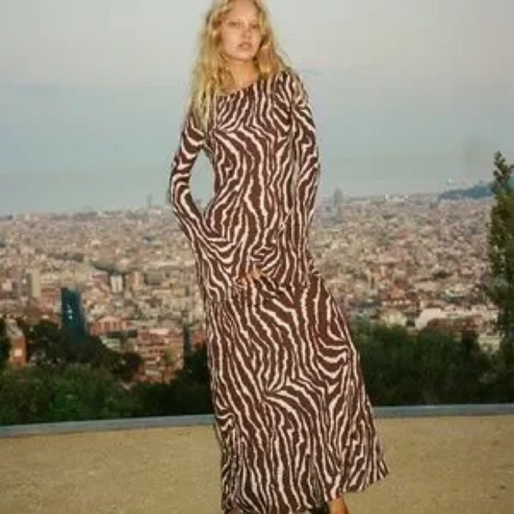 Realisation Par Brown & Cream Zebra-Print Long Sleeve Maxi Dress